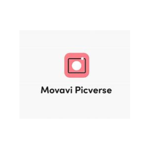Movavi Picverse - Photo Editing Software 1PC WIDOWS