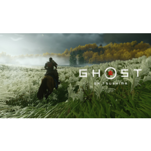 Ghost of Tsushima Director´s Cut + гарантия + все DLC