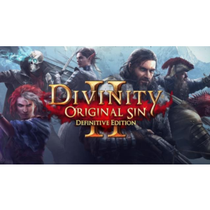 ⭐️ Divinity Original Sin 2 - Definitive Edition [Steam]