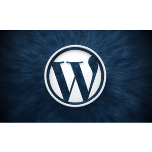 [WP] Security Ninja v5.251