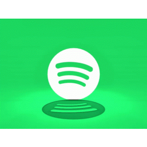 🎧⭐️SPOTIFY PREMIUM 🔊SPOTIFY 6-12 MONTHS⭐️🎧individual