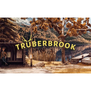 🍓 Truberbrook (PS4/PS5/RU) П3 - Активация