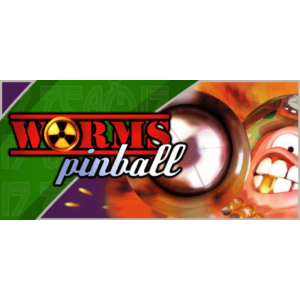 ⚡️Worms Pinball | АВТОДОСТАВКА [Россия Steam Gift]