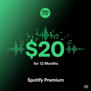 12 месяц Spotify PREMIUM [ГАРАНТИЯ] 🎵НА ВАШ АККАУНТ