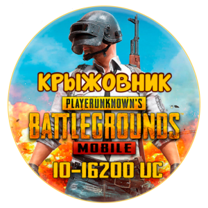 🚀Мгновенно🚀GlobaL💥PUBG MOBILE (10-8100 UC)💥Кодом