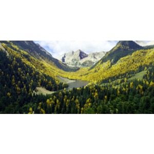 REX ACCU SEASON MSFS2020 Аккаунт