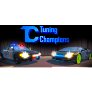 🔑 TUNING CHAMPIONS (STEAM KEY GLOBAL / ROW) 🔑