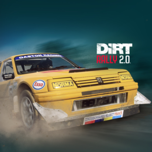 ✅DiRT Rally 2.0 - Peugeot 205 T16 Rallycross✅PS4✅ПСН