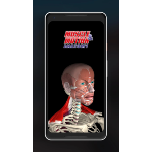 Anatomy by Muscle and Motion | 1/12 мес. на Ваш аккаунт