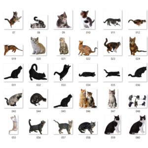 100+ Картинок Кошек в Формате PNG с Прозрачным Фоном