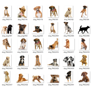 Название продукта: 200+ Картинок Собак в Формате PNG