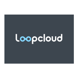 Подписка на членство Loopcloud Pro на 1 месяц (500)