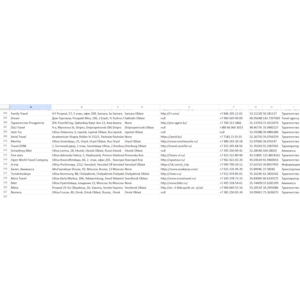 321 Russia Tourism Agencies Database - Updated 2024