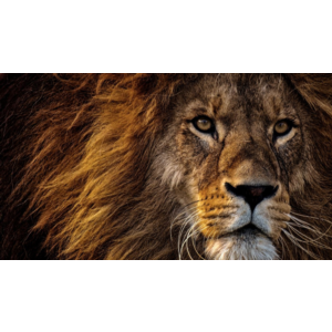 Книга - 15 советов, как быть Успешным человеком