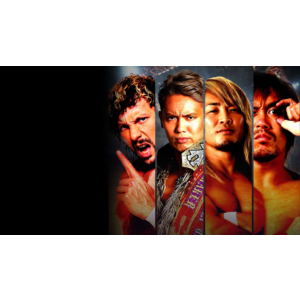 Fire Pro Wrestling World PS4 & PS5