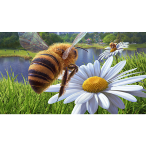 Bee Simulator PS4 & PS5