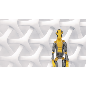 NEXTGEN SANDBOX PS4 & PS5