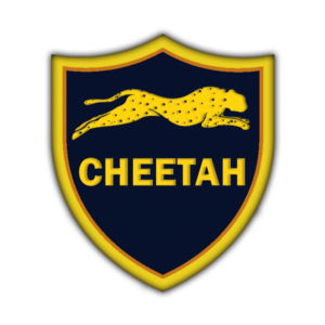 Cheetah Pro Tool - аренда аккаунта