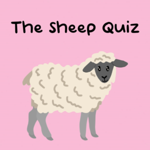 The Sheep Quiz PS5