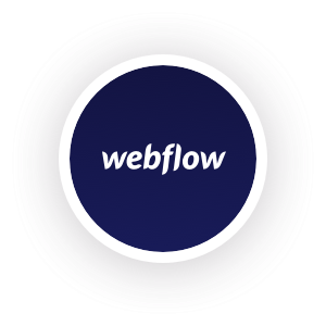 Webflow CMS plan for 1 Year Private Account