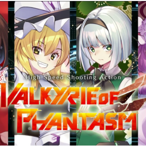 ・VALKYRIE OF PHANTASM・STEAM АККАУНТ・