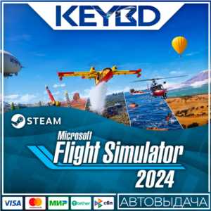 Microsoft Flight Simulator 2024 +ВЫБОР · Steam RU