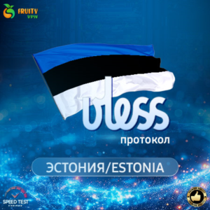 VPN VLESS 🛡️ Эстония 🌍 Скорость 2 Gb⚡Работает в РФ✊🏻