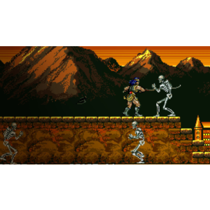 Arcade Archives HAUNTED CASTLE PS4 & PS5