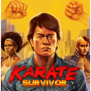 ・KARATE SURVIVOR・STEAM АККАУНТ・