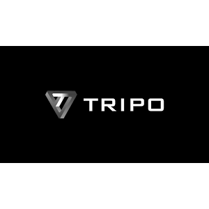 Подписка на аккаунт Tripo ai pro на 1 месяц
