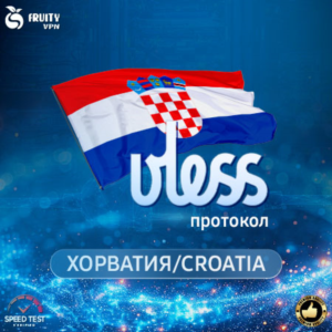 VPN VLESS 🛡️ Хорватия 🌍Скорость 2 Gb⚡Работает в РФ✊🏻