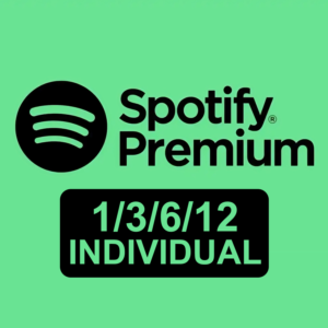 ✅1/3/6/12 SPOTIFY PREMIUM INDIVIDUAL НА ВАШЕМ АККАУНТЕ