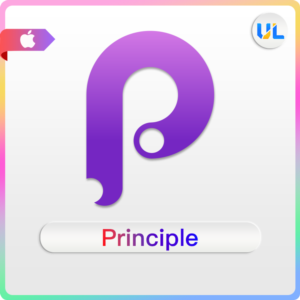 Principle 6 ключ🔑Principle MAC OS🖥️Principle for mac