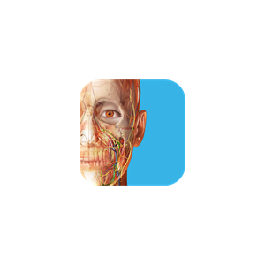3D Dental Anatomy Human Anatomy Atlas ✅ Microsoft Store