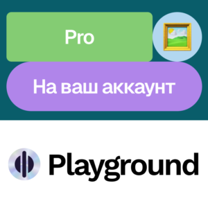 🖱️ Playground Ai Pro | Месяц | Без входа