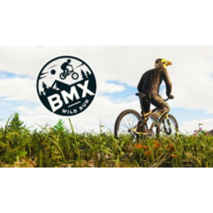 🔥BMX Wild Run🔥🖤⚫(STEAM KEY/GLOBAL)⚫