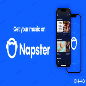 🔥Napster Premium 🔥Аккаунт🔥1 месяц🔥готовый
