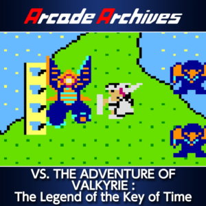 Arcade Archives VS. THE ADVENTURE OF VALKYRIE : The Leg