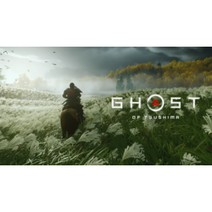 🎁GHOST OF TSUSHIMA: Режиссёрская Версия 🎄(ВCЕ DLC)🎁