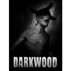 🎮 Общий аккаунт Darkwood