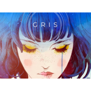 🎮 Общий аккаунт GRIS