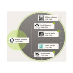 Infuse 7 Подписаться на свой аккаунт 1 месяц