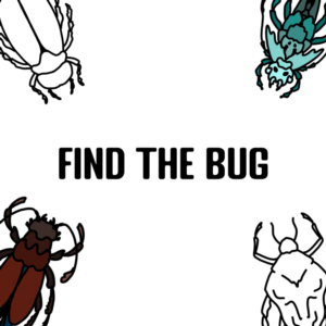 Find the Bug PS5