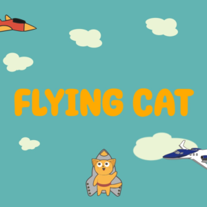 Flying cat PS5