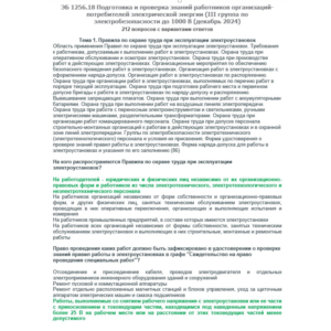 ЭБ 1256.18 (декабрь 2024) 3 группа до 1000В