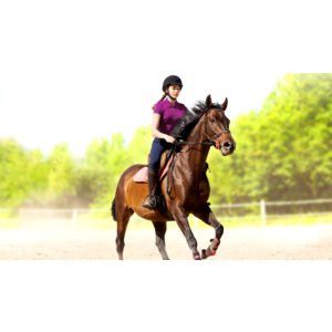 My Little Riding Champion PS4 & PS5