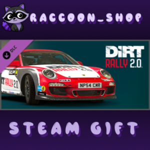 Dirt Rally 2.0 - Porsche 911 RGT Rally Spec DLC