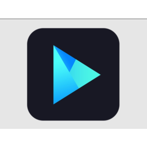 Vidmore Player (Windows) Лицензия на 1 год