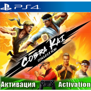 🎮Cobra Kai Collection (PS4/ENG) Активация ✅
