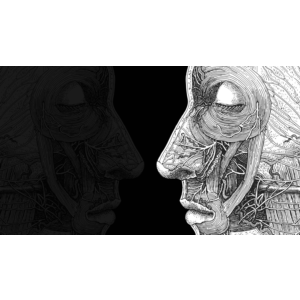 Rememoried PS4 & PS5